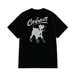 Carhartt miesten t-paita Pup, musta