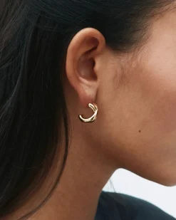 Edblad korvakorut Alexa Hoops L, Gold pleated