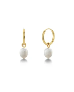 Edblad korvakorut, helmet, PERLA HOOPS GOLD Kullankeltainen