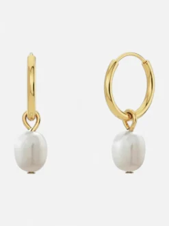 Edblad korvakorut, helmet, PERLA HOOPS GOLD Kullankeltainen