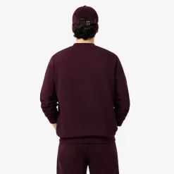 Lacoste miesten collegepaita Classic Fit Cotton Fleece Sweatshirt, tumma luumunpunainen