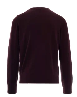 Lacoste miesten neulepusero Regular Fit Crewneck Cotton Knit Sweater, tumma luumunpunainen