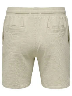 Only and Sons miesten shortsit, K KIAN REG SEERSUCKER SHORTS Beige