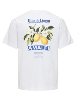 Only and Sons miesten t-paita Onsfred Life Rlx Ss Print Tee, Bright White Amalfi